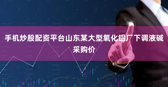 手机炒股配资平台山东某大型氧化铝厂下调液碱采购价