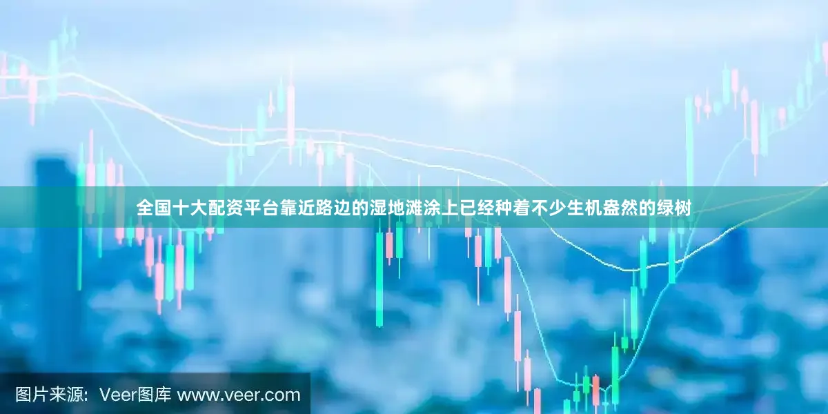 全国十大配资平台靠近路边的湿地滩涂上已经种着不少生机盎然的绿树