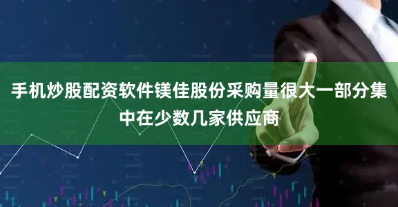 手机炒股配资软件镁佳股份采购量很大一部分集中在少数几家供应商